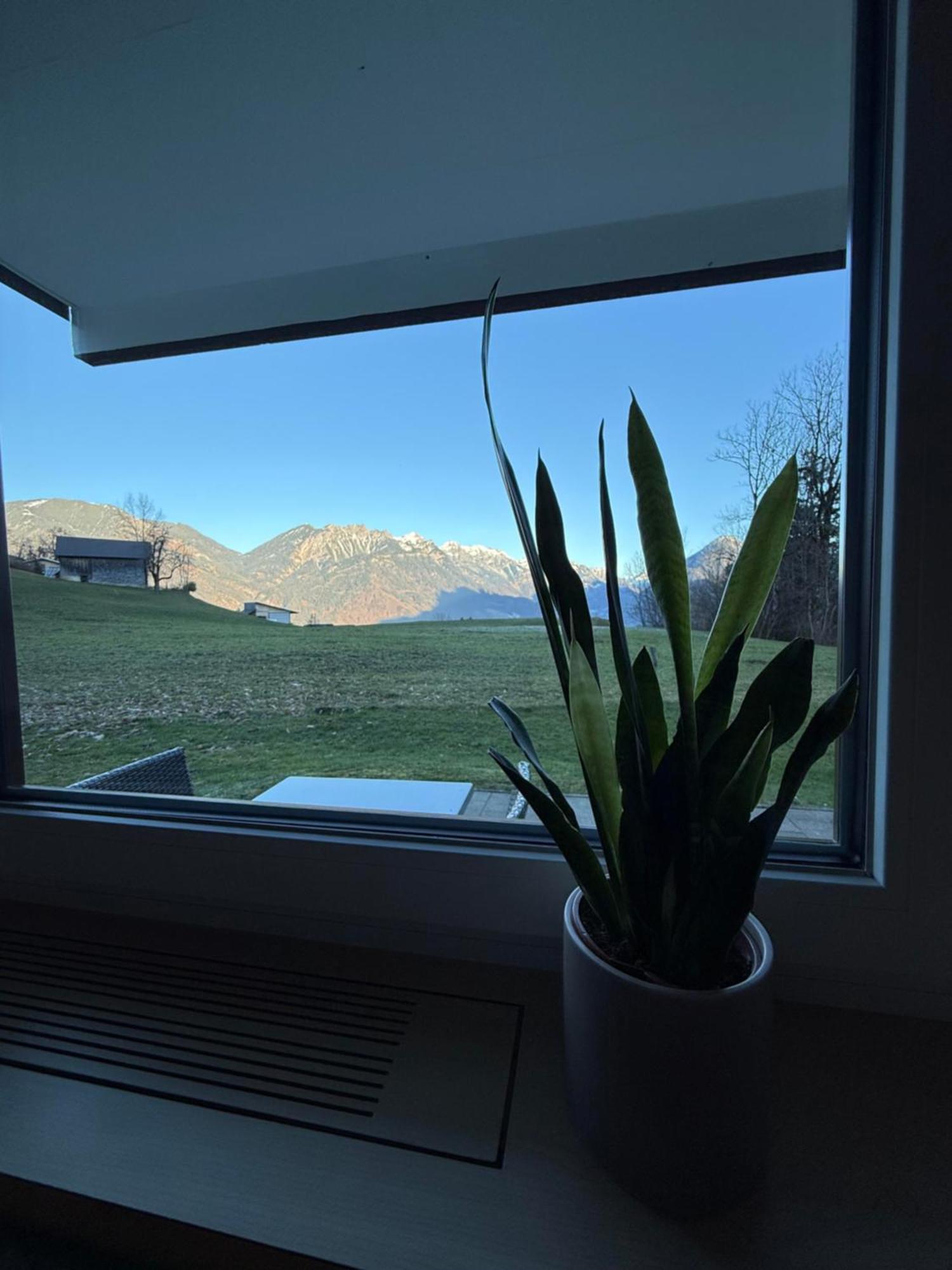 Ferienwohnung Bergnest Brandnertal Bürserberg Exterior foto